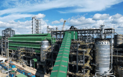 What Is a Bio Ethanol Plant? Uses, Benefits & Process Explained